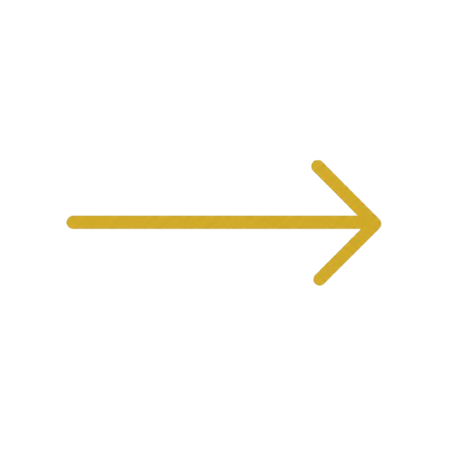 Prime Presence Arrow Right